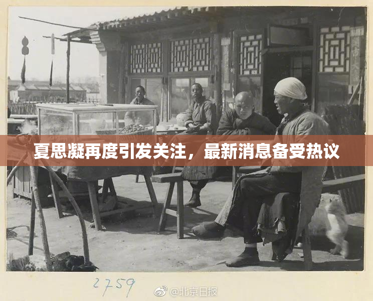 夏思凝再度引发关注，最新消息备受热议