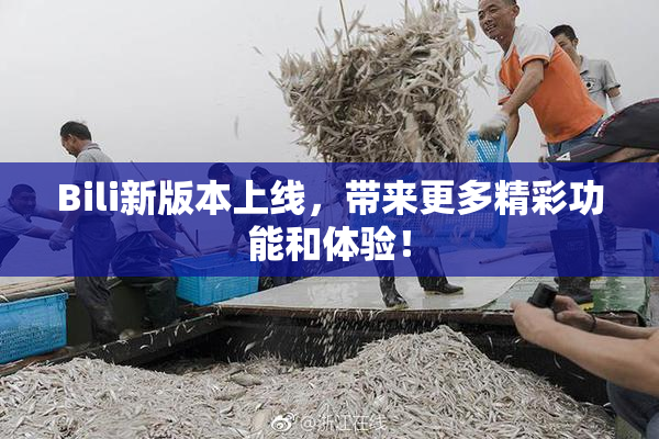 Bili新版本上线，带来更多精彩功能和体验！