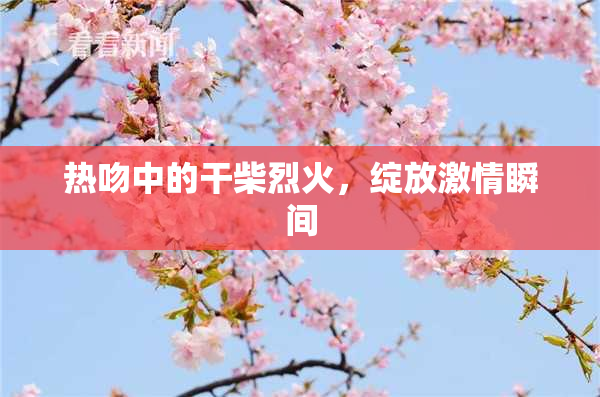 热吻中的干柴烈火，绽放激情瞬间