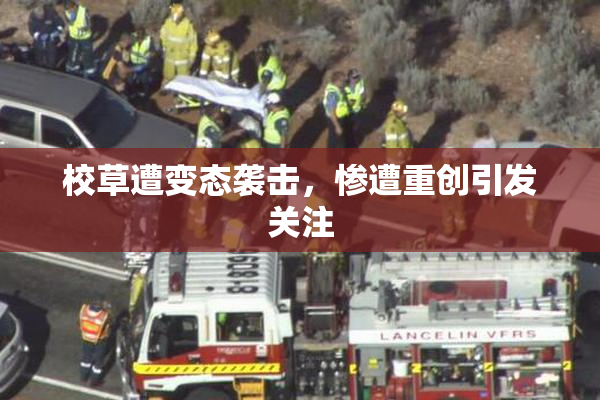 校草遭变态袭击，惨遭重创引发关注