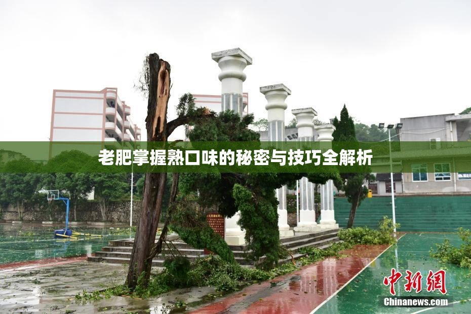老肥掌握熟口味的秘密与技巧全解析