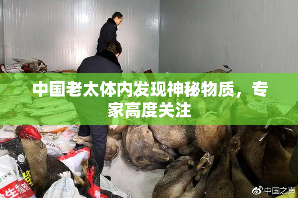 中国老太体内发现神秘物质，专家高度关注