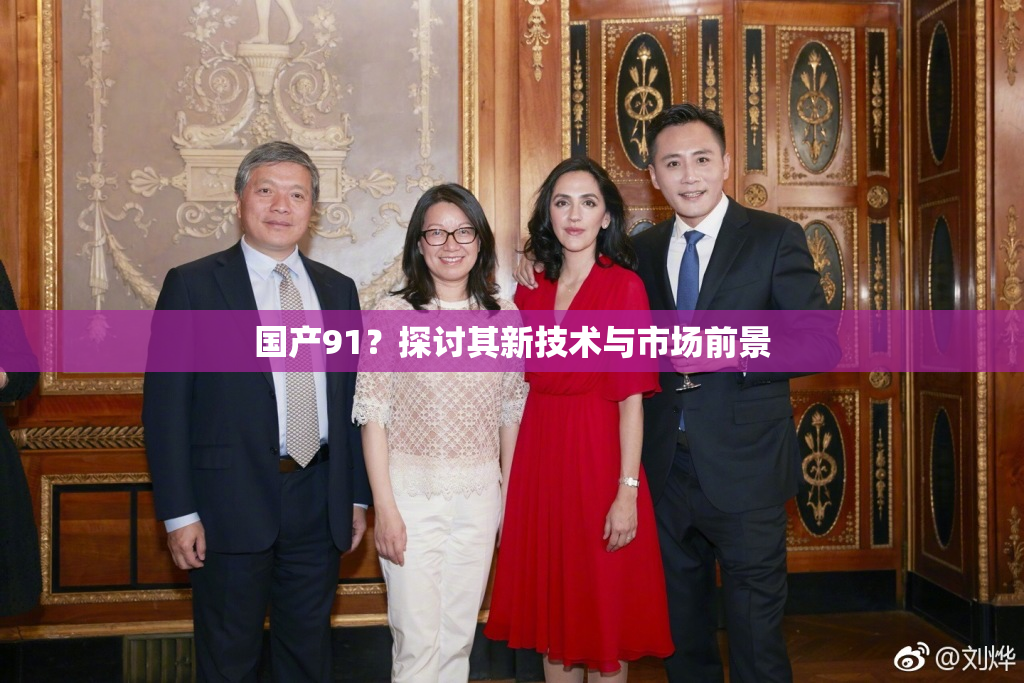国产91？探讨其新技术与市场前景