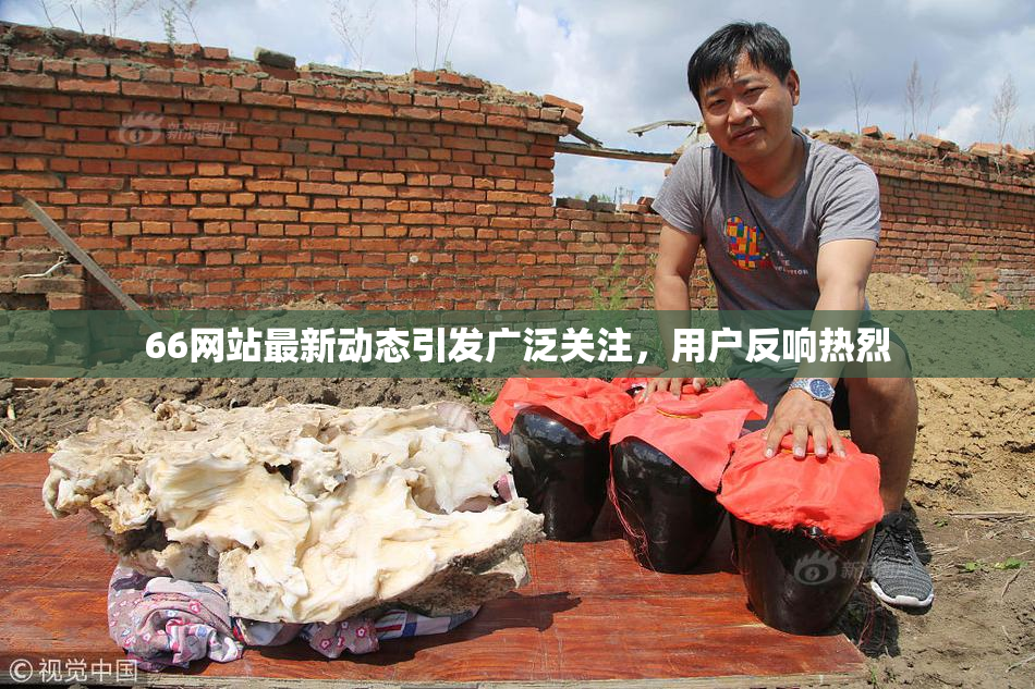 66网站最新动态引发广泛关注，用户反响热烈