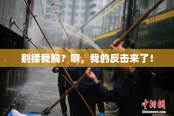 别揉我胸？啊，我的反击来了！