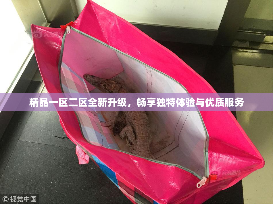 精品一区二区全新升级，畅享独特体验与优质服务
