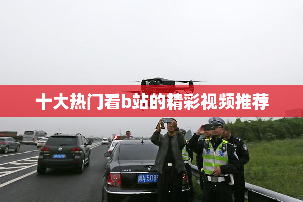 十大热门看b站的精彩视频推荐