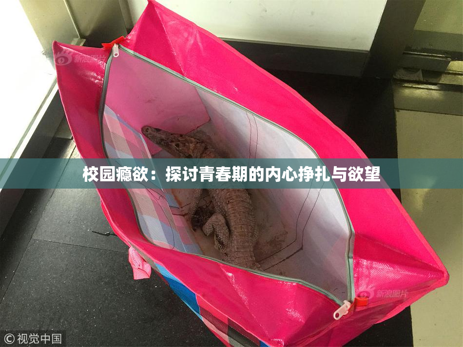 校园瘾欲：探讨青春期的内心挣扎与欲望