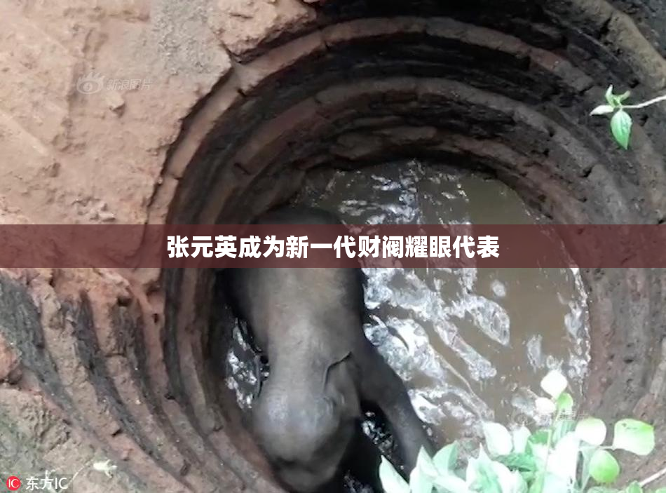 张元英成为新一代财阀耀眼代表
