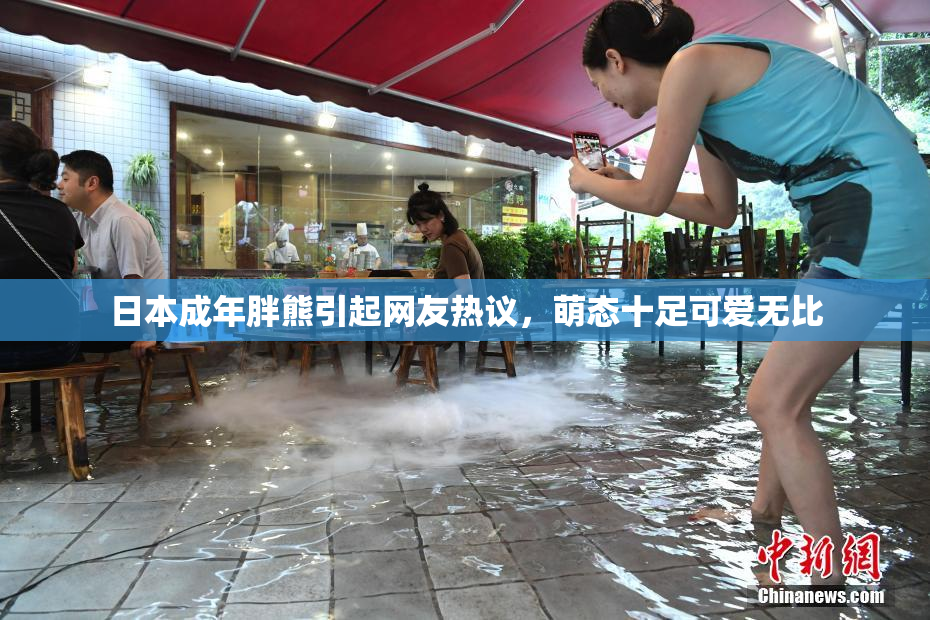 日本成年胖熊引起网友热议，萌态十足可爱无比