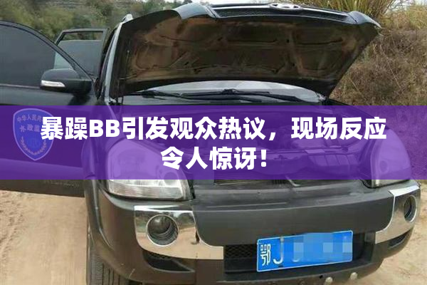暴躁BB引发观众热议，现场反应令人惊讶！