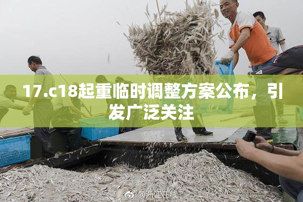 17.c18起重临时调整方案公布，引发广泛关注