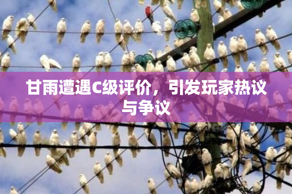 甘雨遭遇C级评价，引发玩家热议与争议