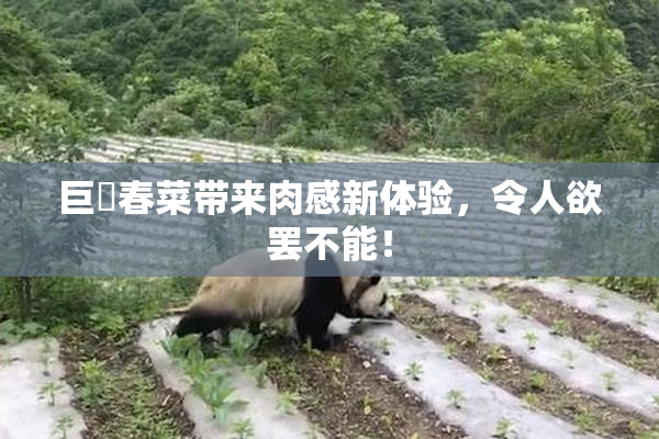 巨凥春菜带来肉感新体验，令人欲罢不能！