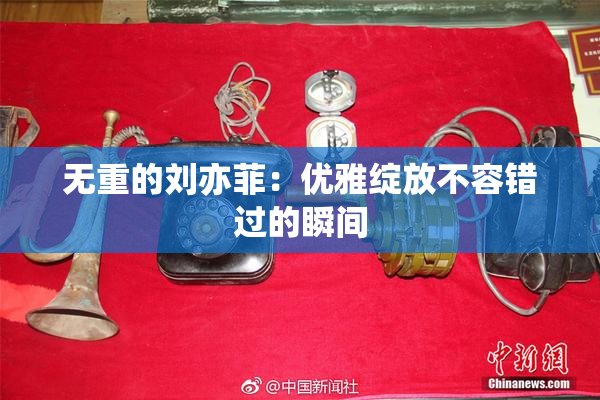 无重的刘亦菲：优雅绽放不容错过的瞬间