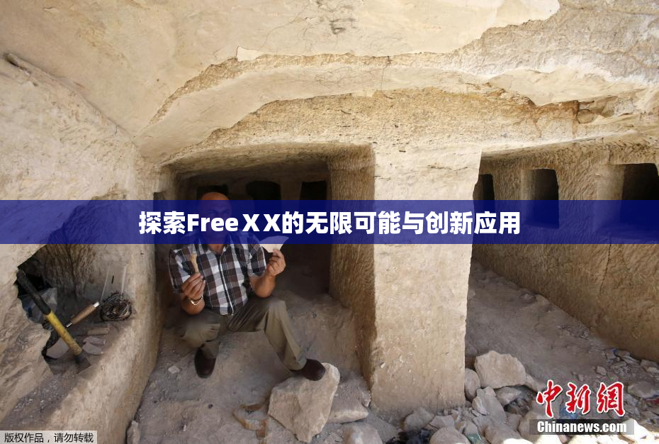 探索FreeⅩX的无限可能与创新应用