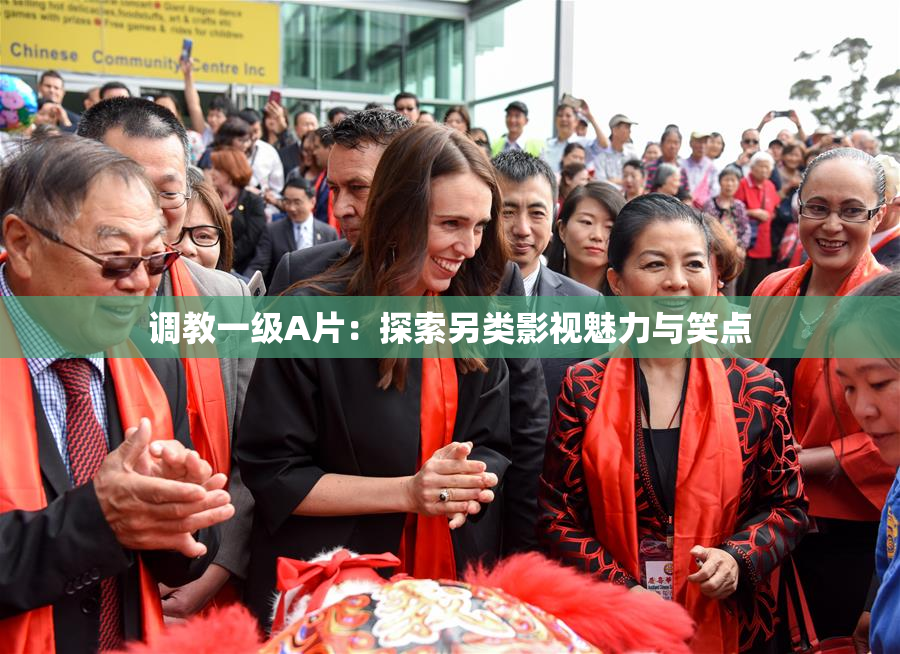 调教一级A片：探索另类影视魅力与笑点