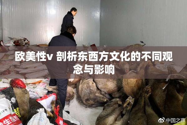 欧美性v 剖析东西方文化的不同观念与影响