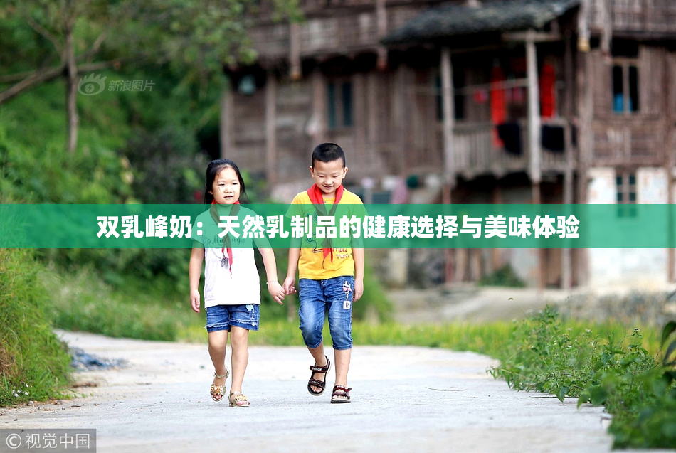 双乳峰奶：天然乳制品的健康选择与美味体验