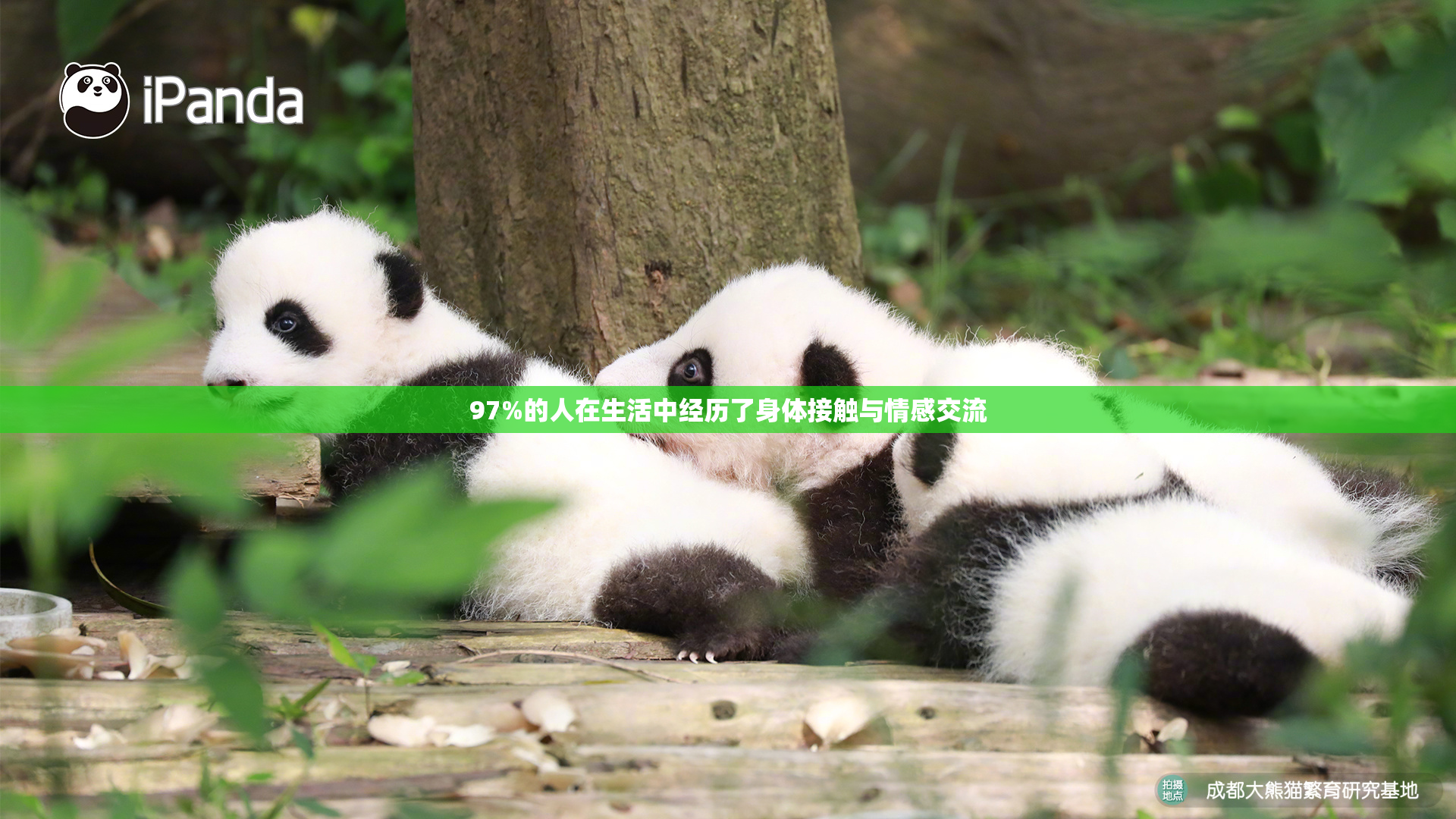 97%的人在生活中经历了身体接触与情感交流