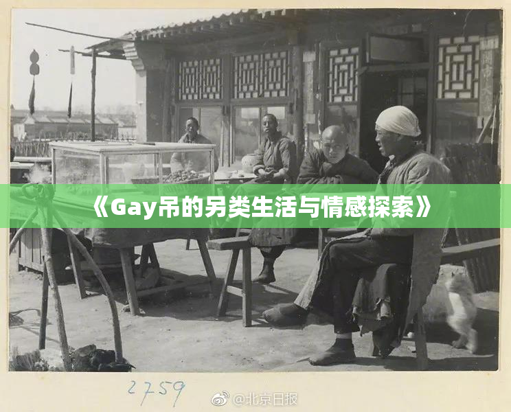 《Gay吊的另类生活与情感探索》