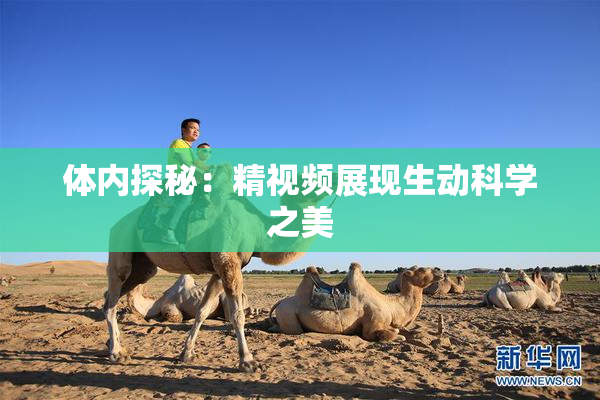 体内探秘：精视频展现生动科学之美