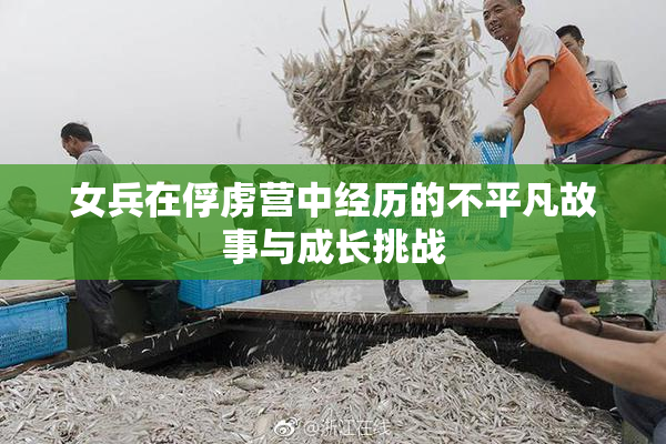 女兵在俘虏营中经历的不平凡故事与成长挑战