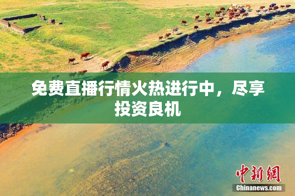 免费直播行情火热进行中，尽享投资良机