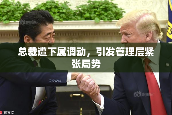 总裁遭下属调动，引发管理层紧张局势
