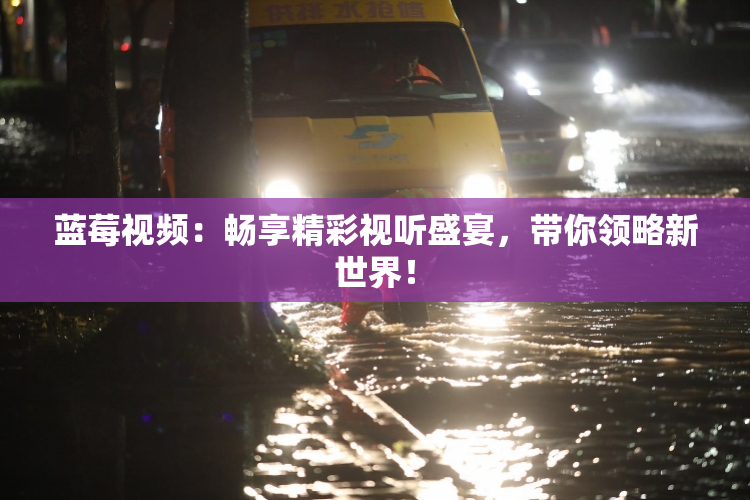 蓝莓视频：畅享精彩视听盛宴，带你领略新世界！
