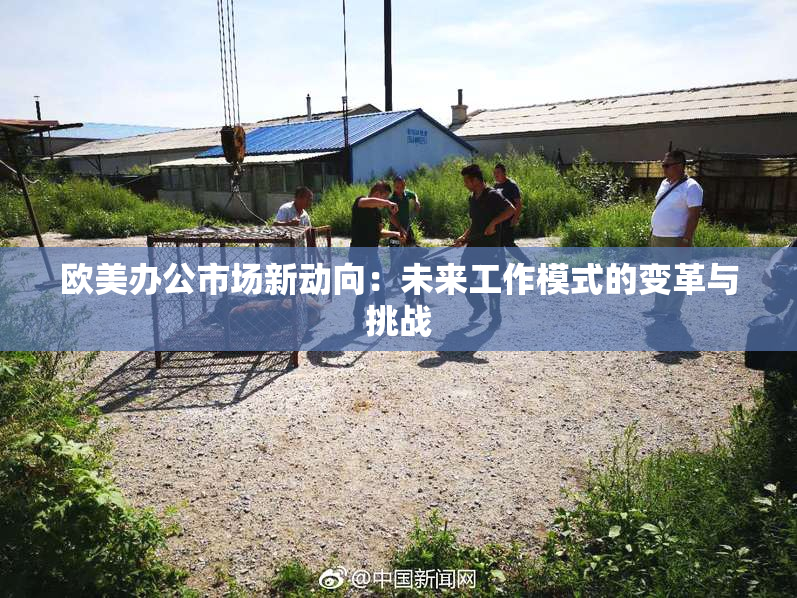 欧美办公市场新动向：未来工作模式的变革与挑战