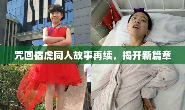 咒回宿虎同人故事再续，揭开新篇章