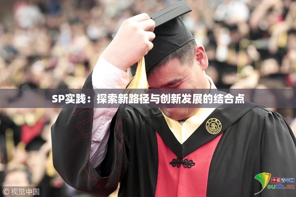 SP实践：探索新路径与创新发展的结合点