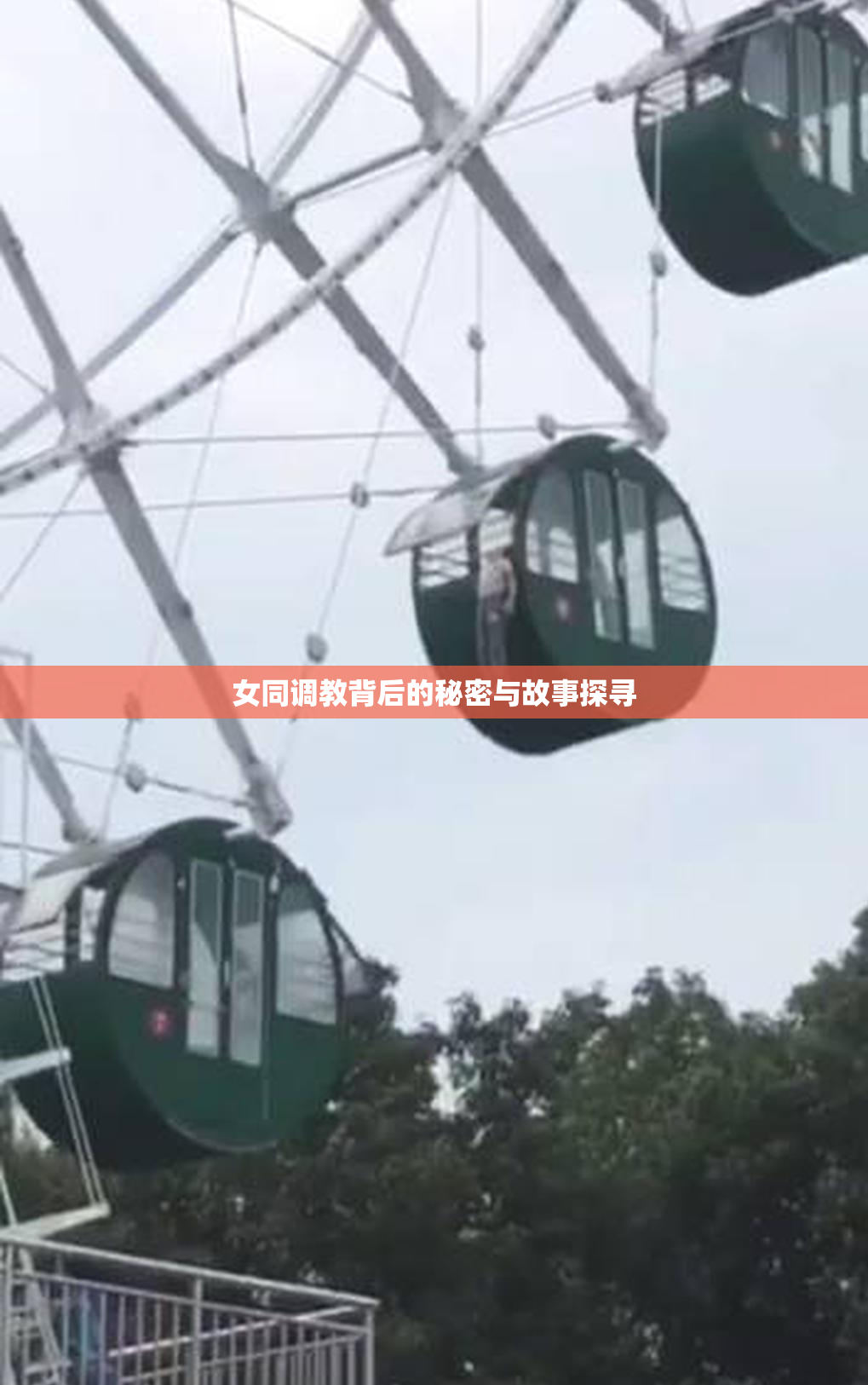 女同调教背后的秘密与故事探寻