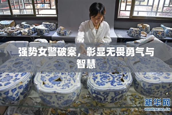 强势女警破案，彰显无畏勇气与智慧