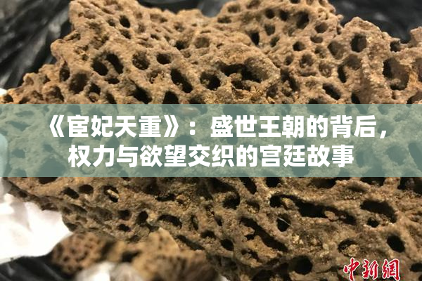 《宦妃天重》：盛世王朝的背后，权力与欲望交织的宫廷故事
