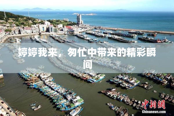 婷婷我来，匆忙中带来的精彩瞬间
