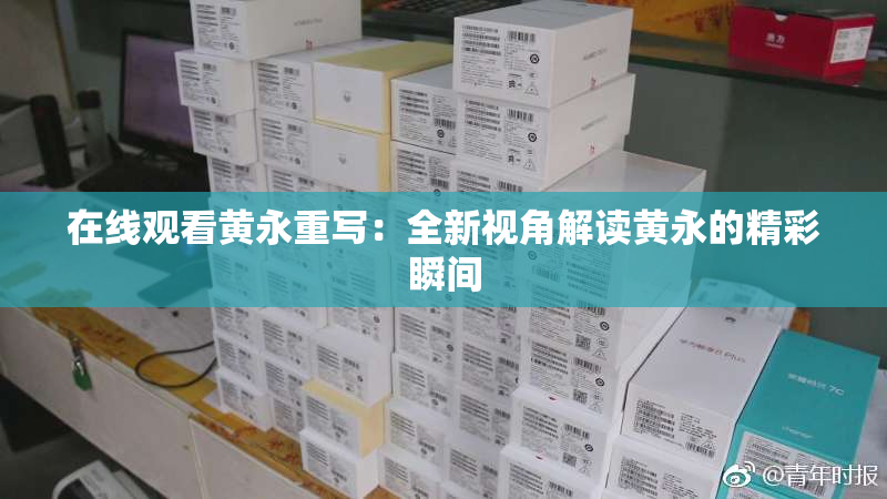 在线观看黄永重写：全新视角解读黄永的精彩瞬间