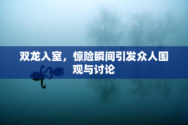 双龙入室，惊险瞬间引发众人围观与讨论
