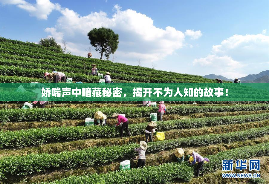 娇喘声中暗藏秘密，揭开不为人知的故事！