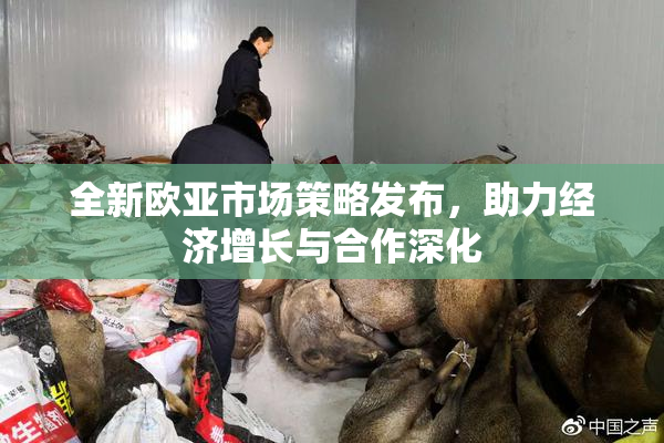 全新欧亚市场策略发布，助力经济增长与合作深化