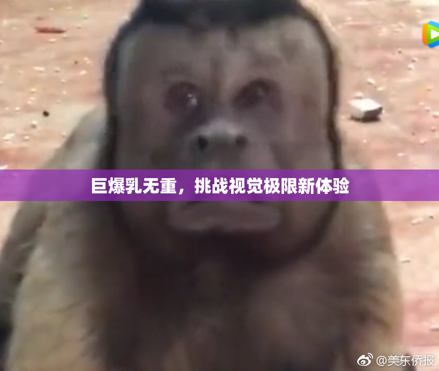 巨爆乳无重，挑战视觉极限新体验
