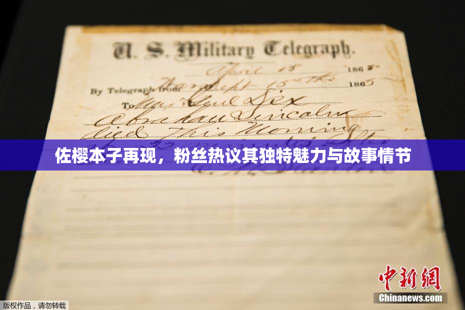 佐樱本子再现，粉丝热议其独特魅力与故事情节