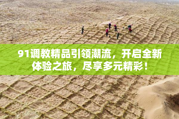 91调教精品引领潮流，开启全新体验之旅，尽享多元精彩！