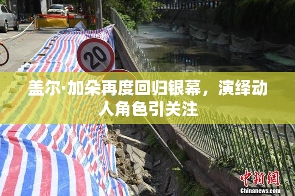 盖尔·加朵再度回归银幕，演绎动人角色引关注