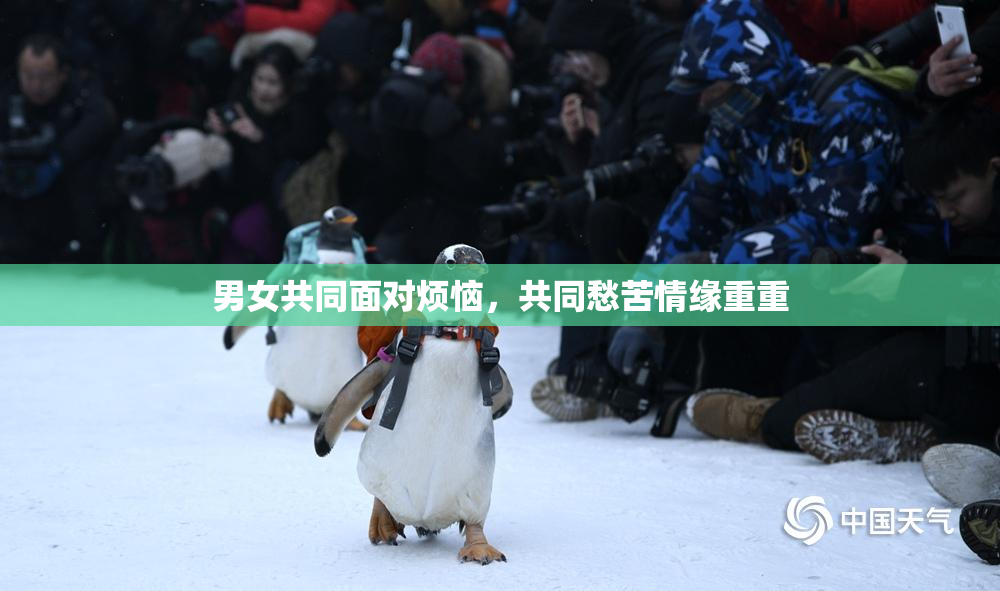 男女共同面对烦恼，共同愁苦情缘重重