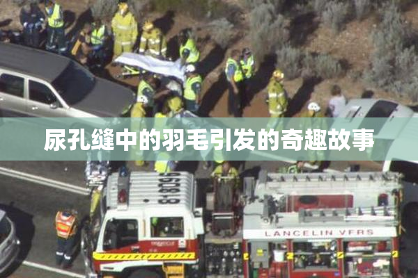 尿孔缝中的羽毛引发的奇趣故事