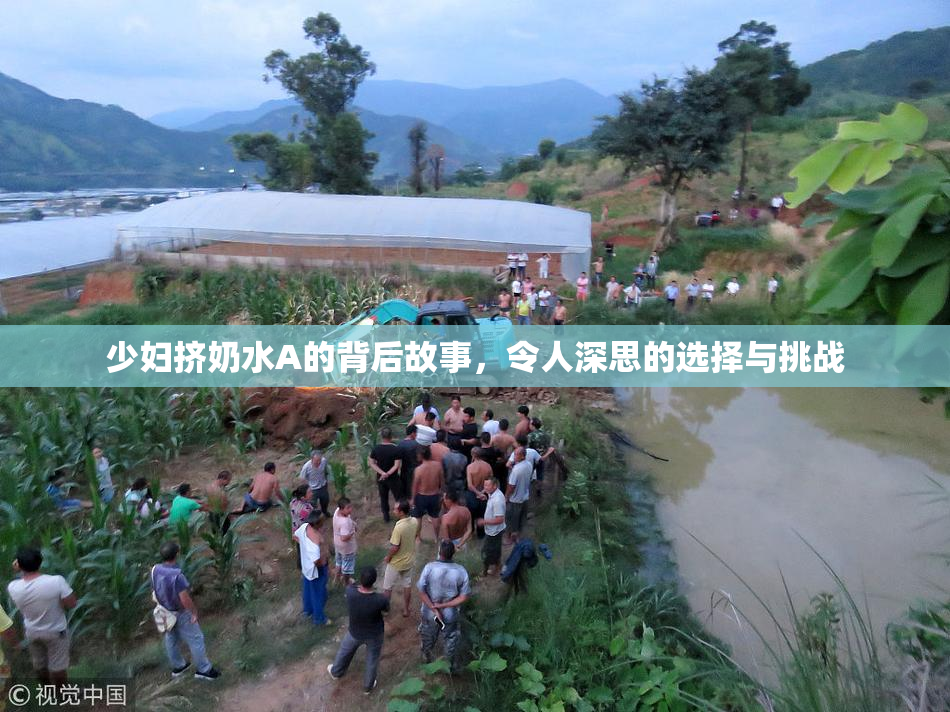 少妇挤奶水A的背后故事，令人深思的选择与挑战