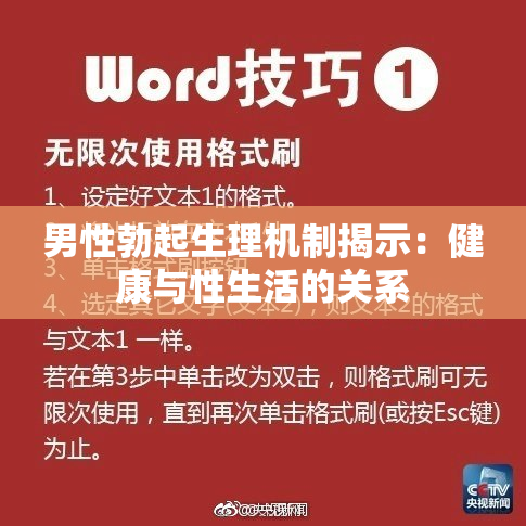 男性勃起生理机制揭示：健康与性生活的关系