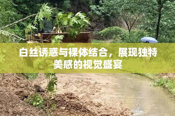 白丝诱惑与裸体结合，展现独特美感的视觉盛宴